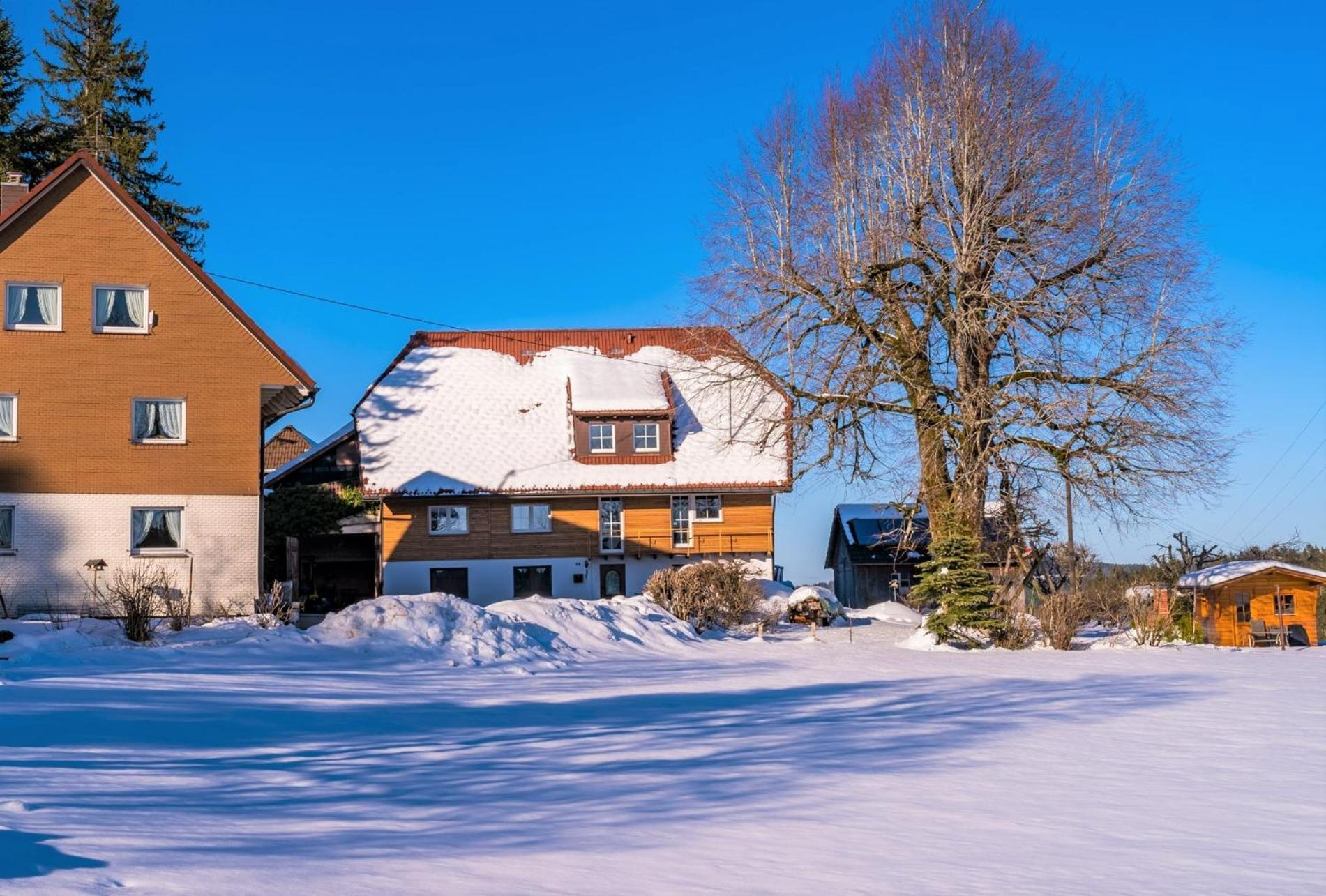Suessen Haeusle Apartamento Breitnau Exterior foto